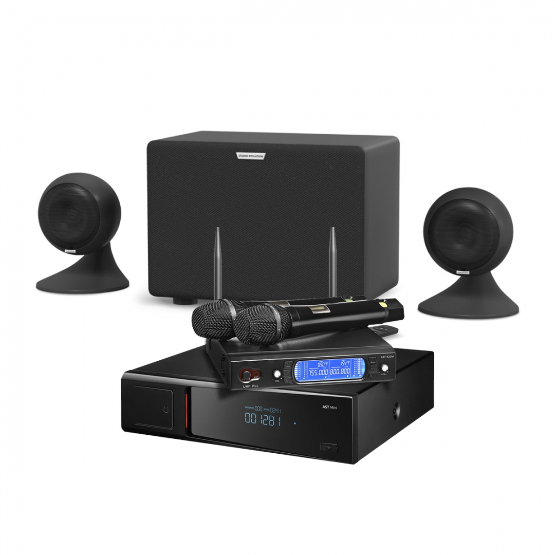 караоке-комплект AST Mini Sound Sphere в Городеце