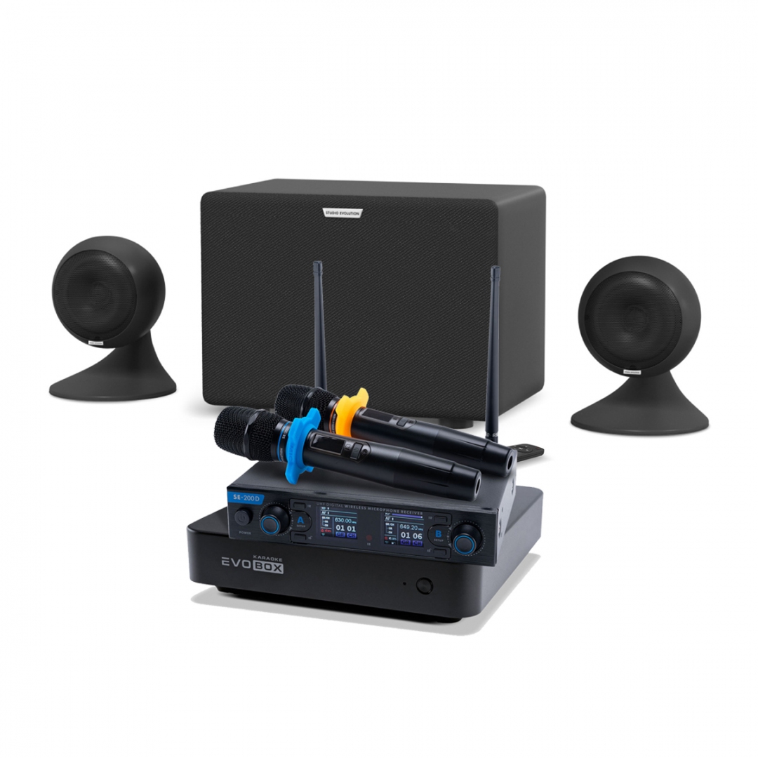 караоке-комплект EVOBOX + EvoSound Sphere 2.1 в Городеце