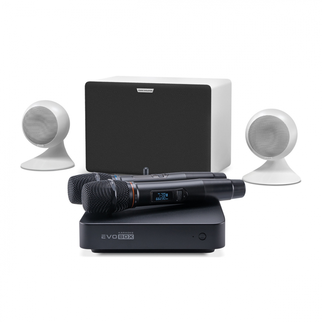 караоке-комплект EVOBOX Classic + EvoSound Sphere 2.1 в Городеце