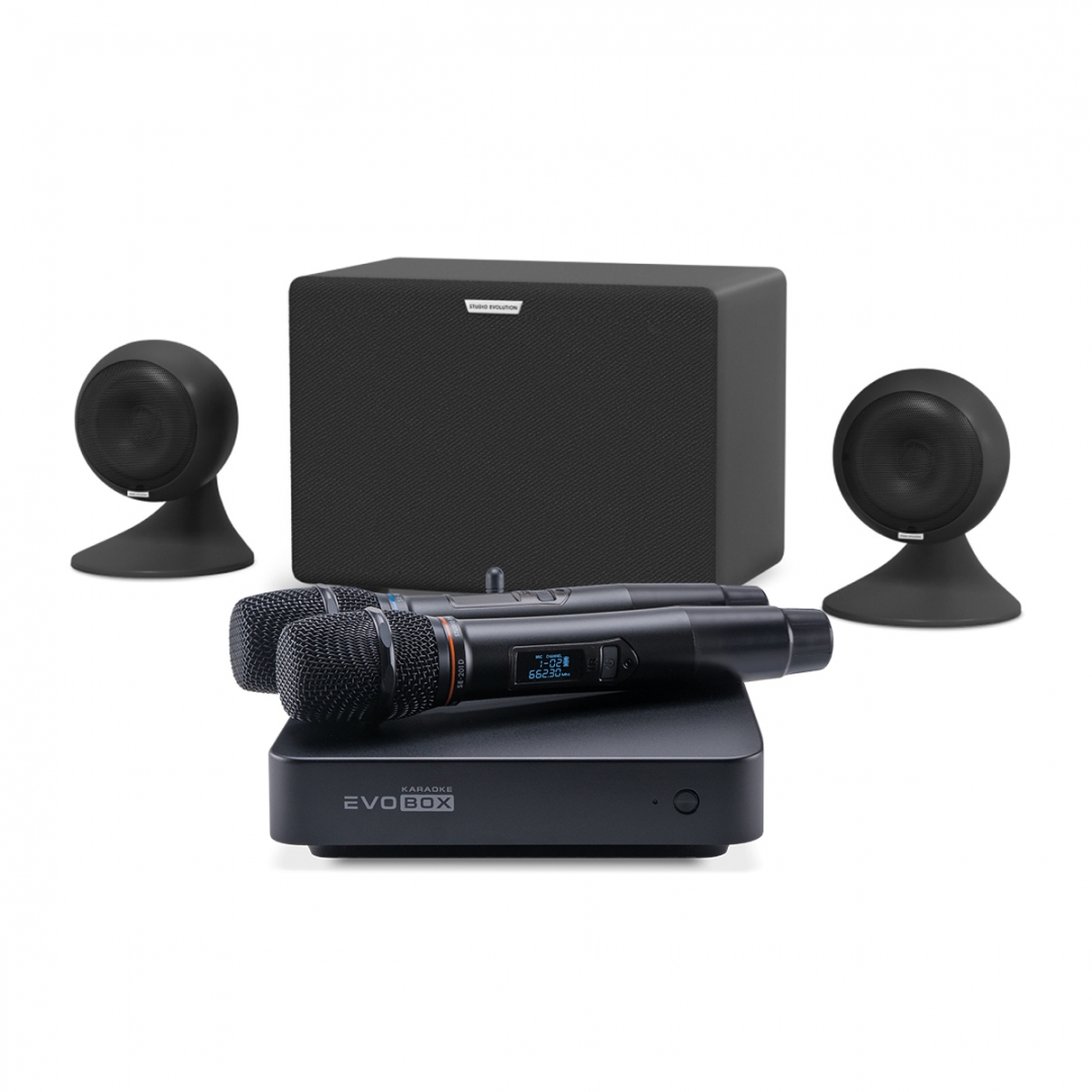 караоке-комплект EVOBOX Plus + EvoSound Sphere 2.1 в Городеце
