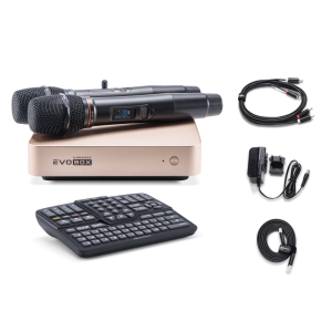 EVOBOX Classic караоке-система для дома в Городеце