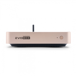 EVOBOX Plus караоке-система для дома в Городеце