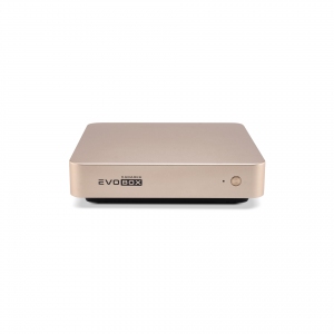 EVOBOX с микрофонами в Городеце